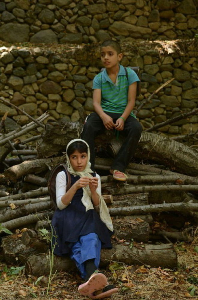 فیلم سینمایی «قلب سفید قاصدک ها»